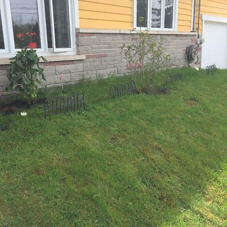 Motel 149 Mont-Tremblant Dış mekan fotoğraf